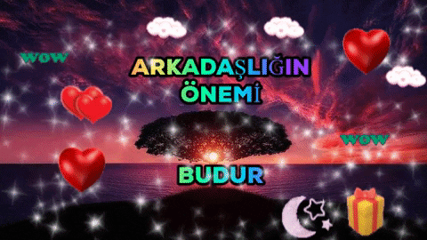 RUMEYSA_12 giphygifmaker giphyattribution arkadaşlik özeldir arkadaşlik önemlidir GIF