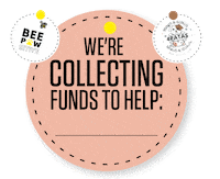 Bee Adoption Sticker by BeeSocialGroup