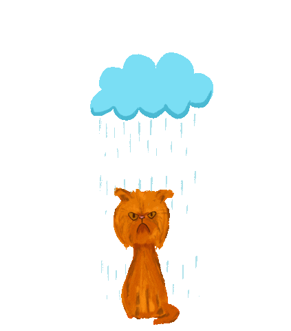 3amcrafter cat rain storm wet Sticker