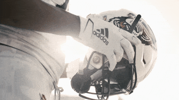 North Carolina Wolf GIF by NC State Athletics