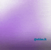 Hit Dbs GIF