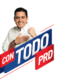 gabycarrizoj vct prd vamos con todo gaby carrizo Sticker