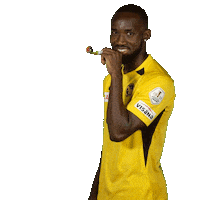 Super League Smile Sticker by BSC Young Boys