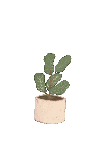 Biancalcantara love heart plant planta Sticker