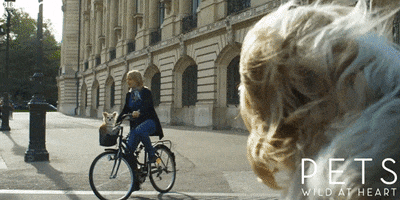 bbc one dog GIF by BBC