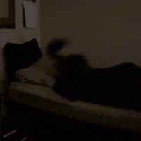 Scream Bed GIF