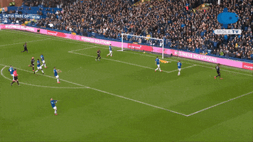 Celebration Goal GIF by MolaTV