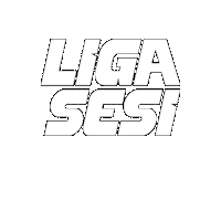 Ligasesi Sticker by Sesi Esporte