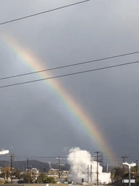 Rainbow GIF by Justin
