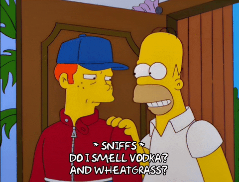 homer simpson GIF