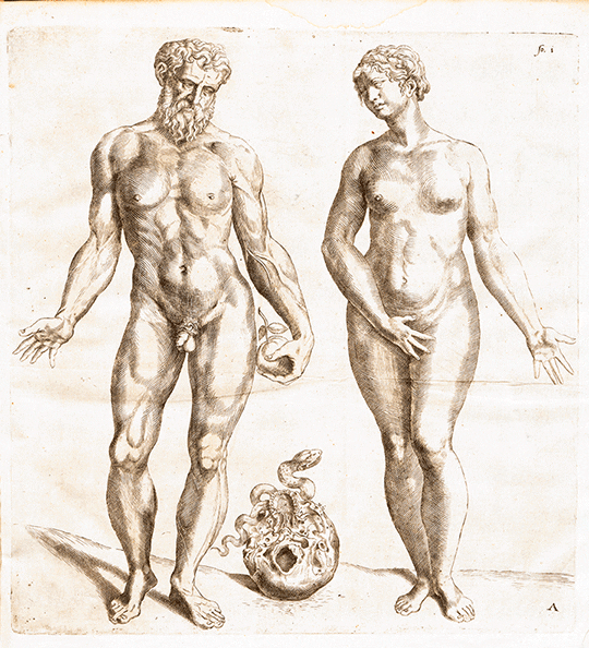 Kicking The Bible GIF by GIF IT UP