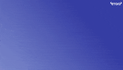Crypto Bat GIF by eToro