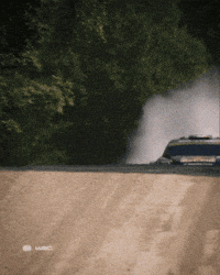 Motorsport Estonia GIF by FIA World Rally Championship
