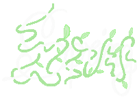 Flower Spring Sticker