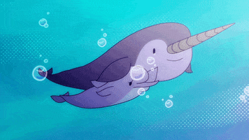 animation dolphin GIF by Cartoon Hangover