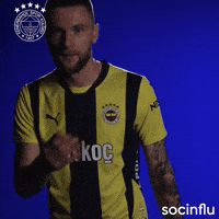 Milan Skriniar GIF by Socinflu