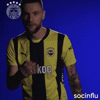 Milan Skriniar GIF by Socinflu
