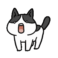 Surprise What Sticker by Cat and Cat Comics