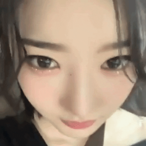 K Pop S5 GIF