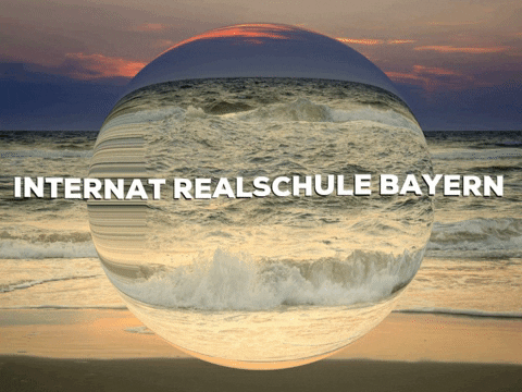 School Enjoy GIF by PrivatschulenPORTAL.de