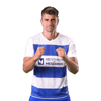 Football Soccer Sticker by NK Osijek