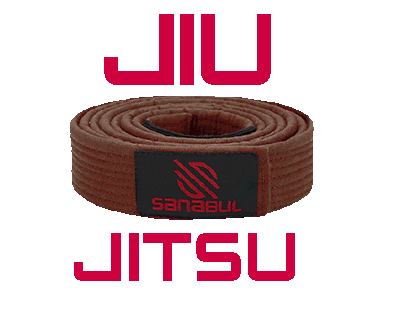 Jiujitsu Brazilianjiujitsu Sticker by Sanabul