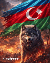 Russia Israel GIF