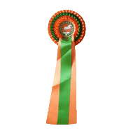 Paarden Sticker by Paardenmarktvianen