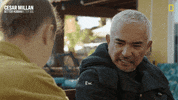 Cesar Millan GIF by National Geographic Channel