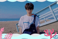 Jin Bts Beach GIF