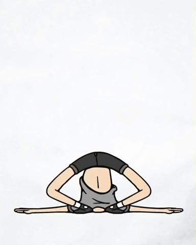 Animation Cheeeck