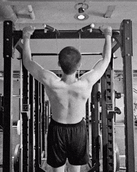 Workout Rm GIF