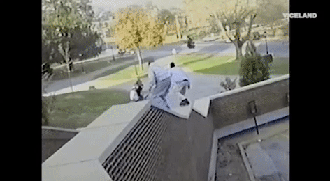 viceland GIF by Epicly Later'd