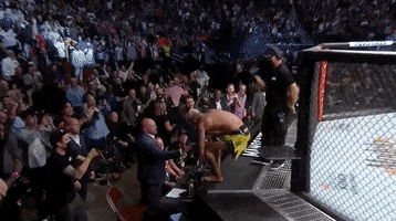 Dana White Sport GIF by UFC