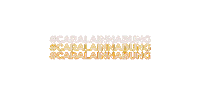 Idx Cmse2019 Sticker by popspotid