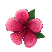Flor Tabasco Sticker by heymexico