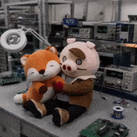 Ddc GIF