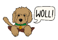 Goldendoodle Sauerland Sticker by WOLL Magazin
