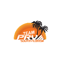 South Florida Sunset Sticker by PRV Audio