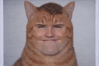 Chad Bizzarre GIF