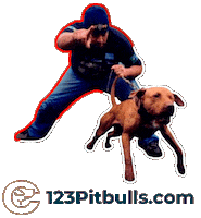 Pitbull Apbt Sticker by Chico Lopez