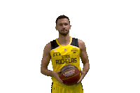 Basketball Robin Sticker by Stade Rochelais