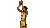 Celebration Basketball Sticker by Trefl Sopot