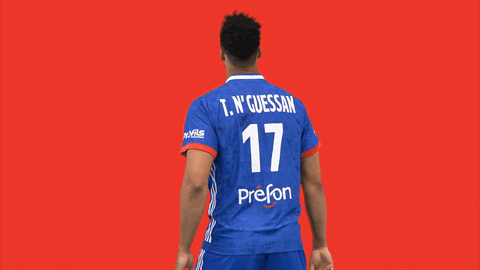 Ffhandball GIF by Fédération Française de Handball