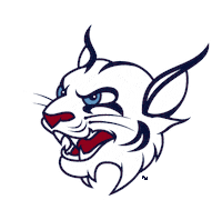 Cat Mascot Sticker by STUMiami