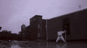 martial arts fighting GIF by Hurray For The Riff Raff