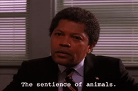 season 2 GIF by Twin Peaks on Showtime
