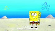 episode 1 GIF by SpongeBob SquarePants
