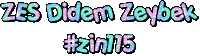 Zumba Zumbafitness Sticker by Didem Zeybek