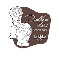 Art Ballet Sticker by Grishko